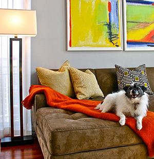interior design chicago, beautiful interiors